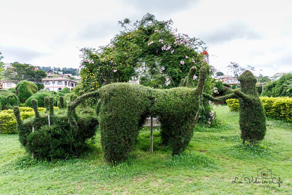 costa rica, park, garden, mountain town in Costa Rica
