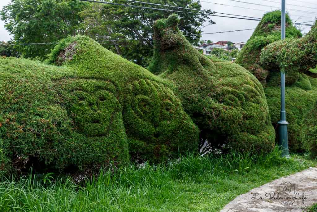 costa rica, park, garden, mountain town in Costa Rica