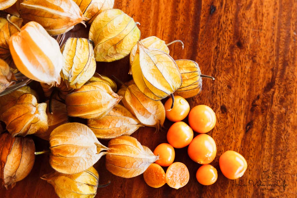 goldenberries, uchuva, cape gooseberry, costa rica, weird tropical fruit