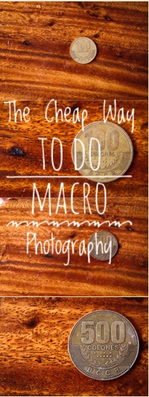 Macro Filter Review