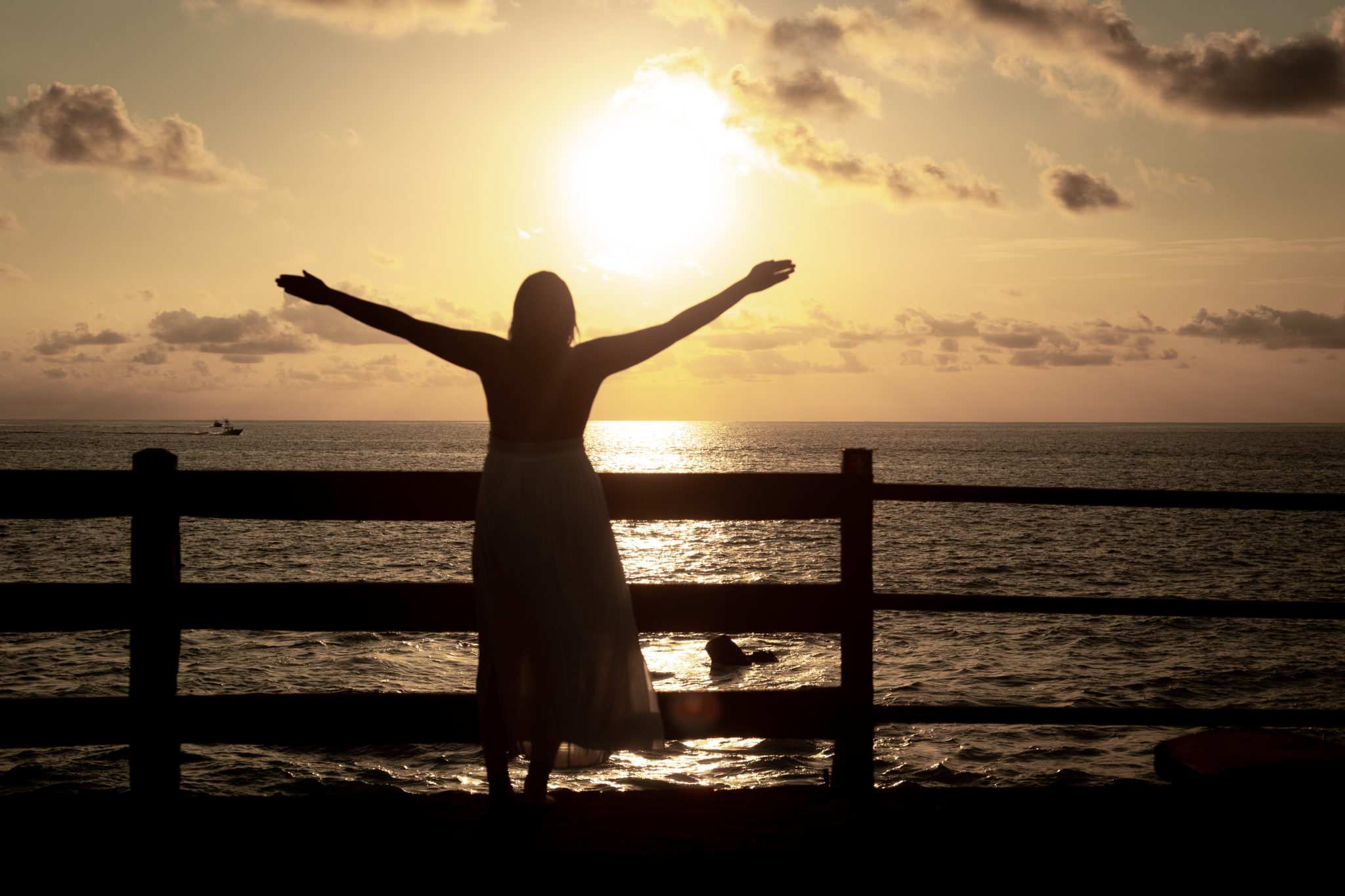 Silhouette of a girl with the sunset