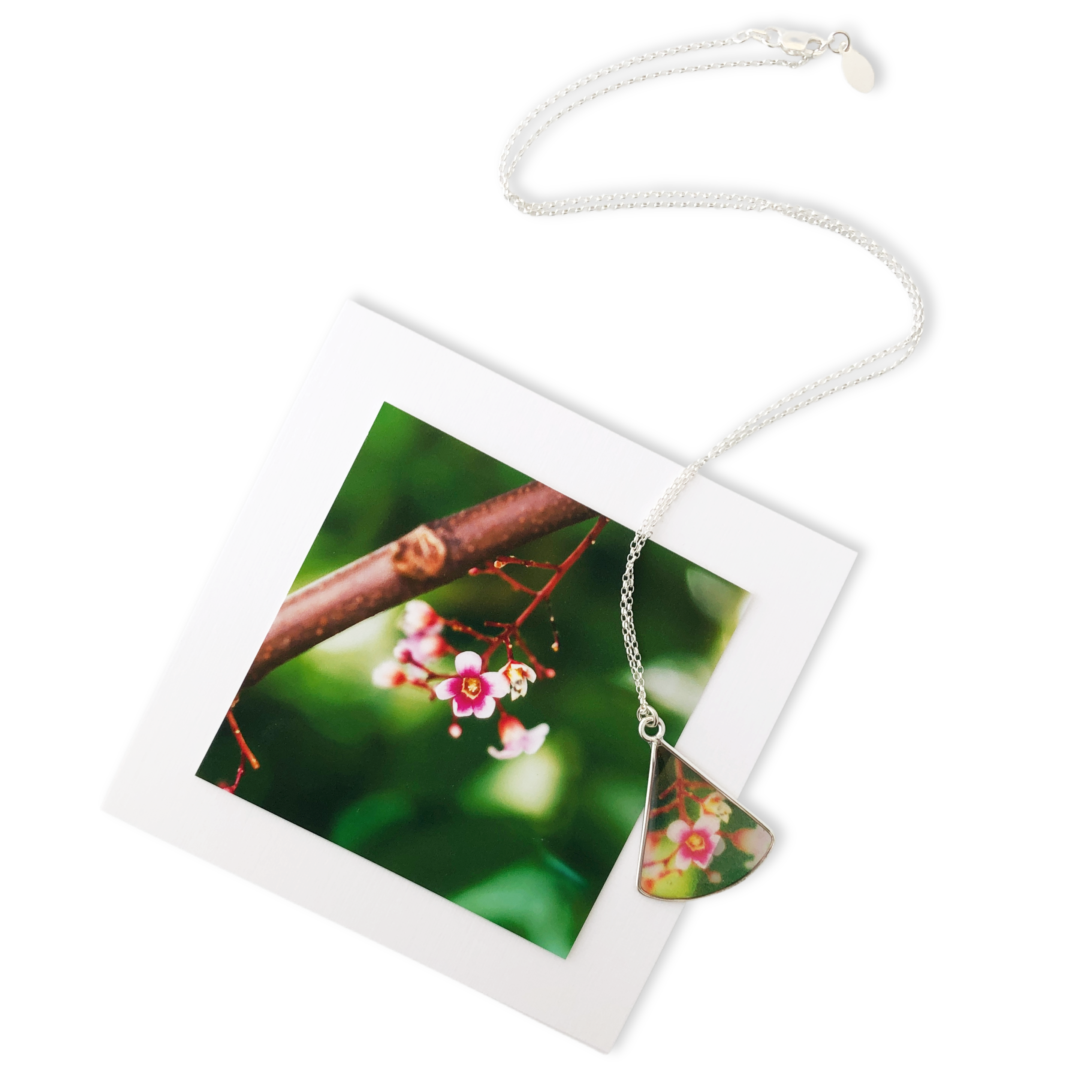 starfruit blossom photo jewelry costa rica