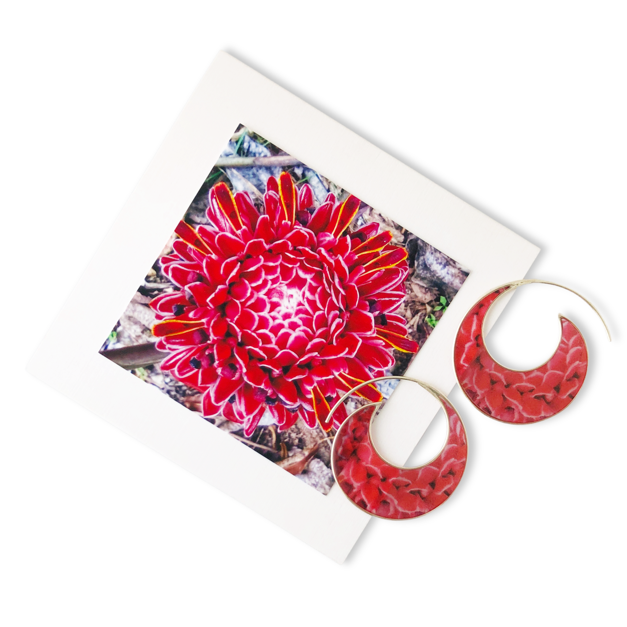 ginger flower photo earrings