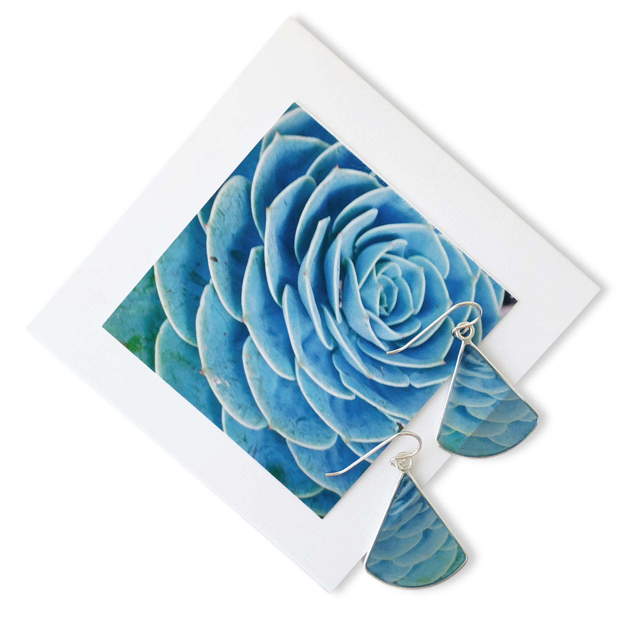 mexican snow ball flower photo jewelry