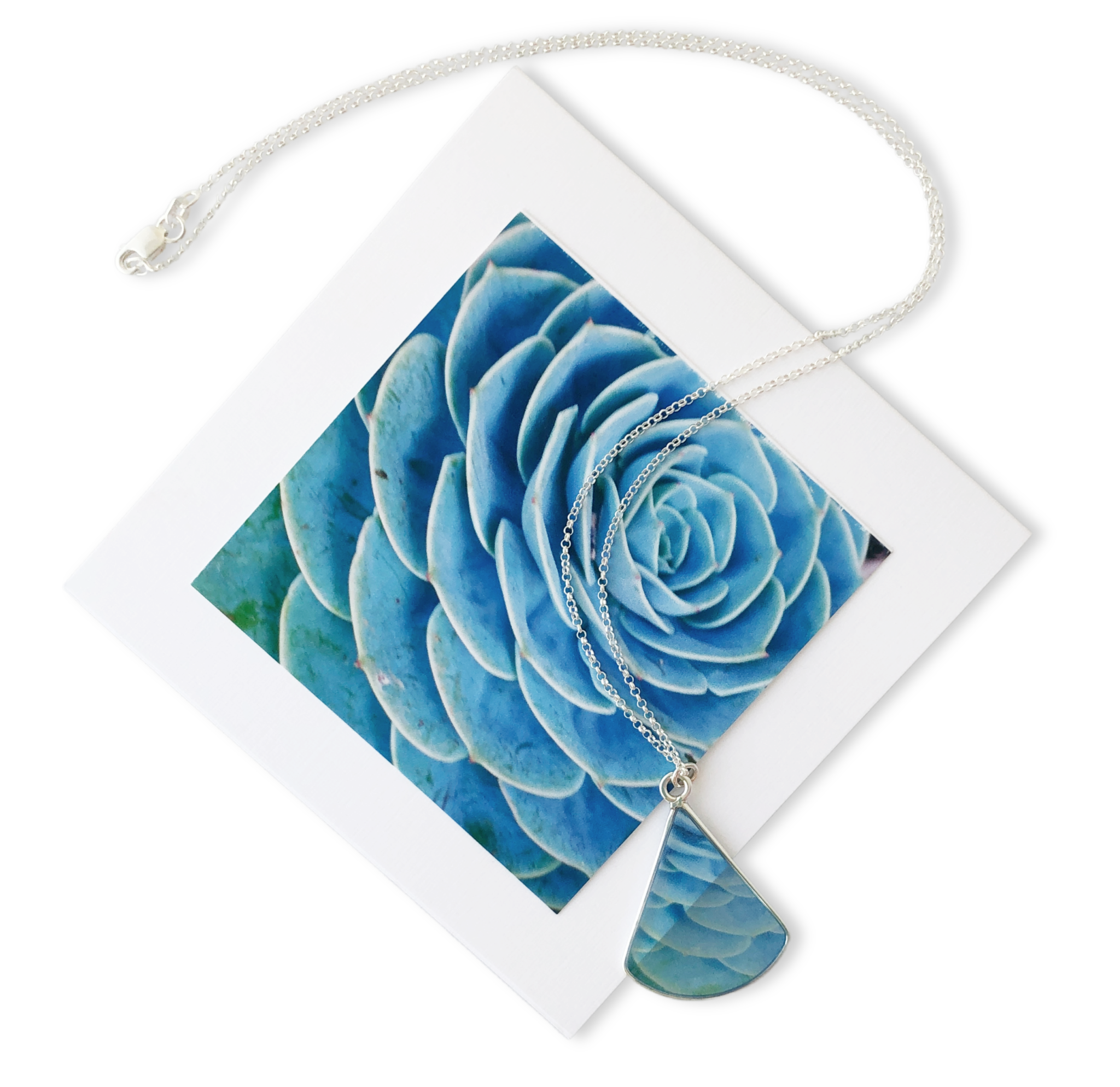 mexican snow ball flower photo jewelry