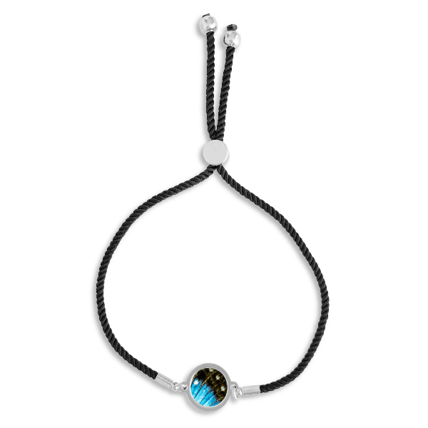 blue morpho butterfly silver bracelet