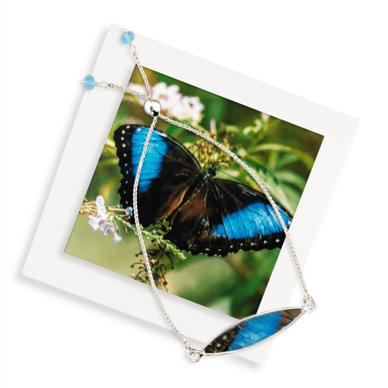 blue morpho butterfly silver bracelet