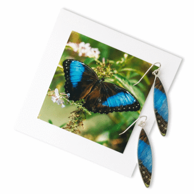 blue morpho surf-shaped butterfly earrings