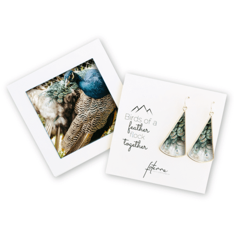 large fan peacock earrings