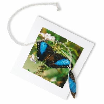 blue morpho butterfly surf-shaped necklace